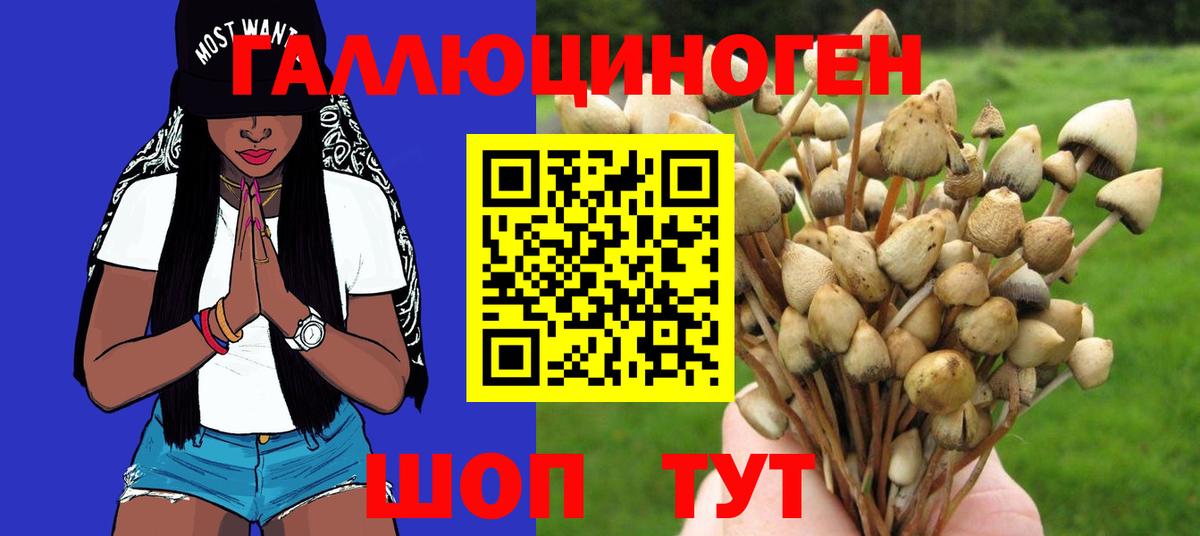 Галлюциногенные грибы MAGIC MUSHROOMS  Вход с VPN  Галлюциногенные грибы мухоморы  Лыткарино 
